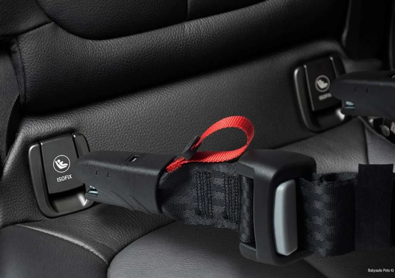 4 Babyauto pets arnes fix detalle 1 1024x684-125